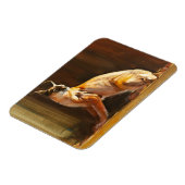 Arabian Caracal 2010 Magnet (Linke Seite)