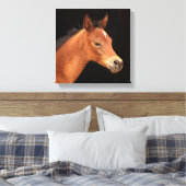 Arabian Filly Leinwanddruck (Insitu (Schlafzimmer))