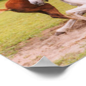 Arabian Foal & Mare Poster (Ecke)