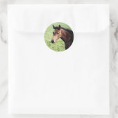Arabian Foal Sticker (Tasche)