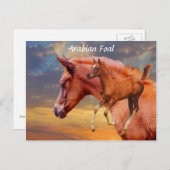 Arabian Foal Sunset Postcard Postkarte (Vorne/Hinten)