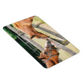 Arabian Fohlen Quarter Horse Mare Flexi Magnet (Rechte Seite)