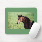 Arabian Fotonenmauspad Mousepad (Mit Mouse)