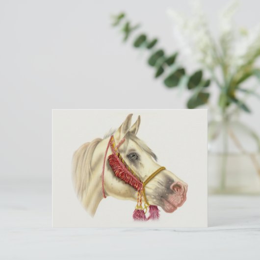 Arabian-Hallion Postkarte (Stehend Vorderseite)