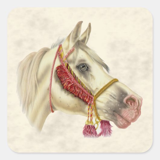 Arabian-Hallion Quadratischer Aufkleber (Vorderseite)