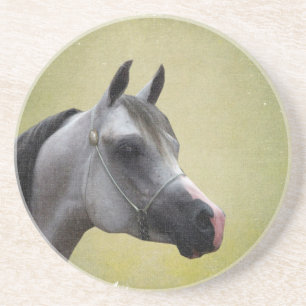 Arabian Horse Grunge Getränkeuntersetzer