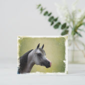 Arabian Horse Grunge Postkarte (Stehend Vorderseite)