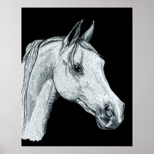Arabian Horse Ink Sketch Poster (Vorne)