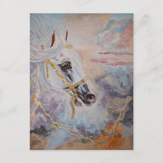 Arabian Horse Postcard Postkarte