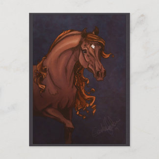 Arabian Horse Postcard Postkarte