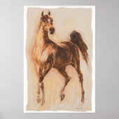 arabian horse poster (Vorne)
