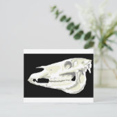 Arabian Horse Skull Postcard Postkarte (Stehend Vorderseite)