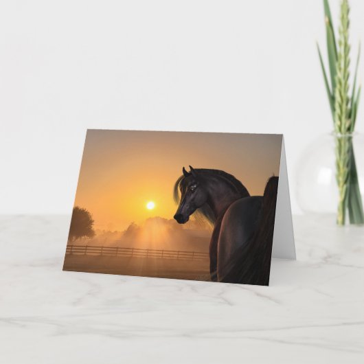 Arabian Horse Sunrise Karte (Vorderseite)