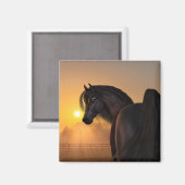 Arabian Horse Sunrise Magnet (Vorderseite/Rückseite)