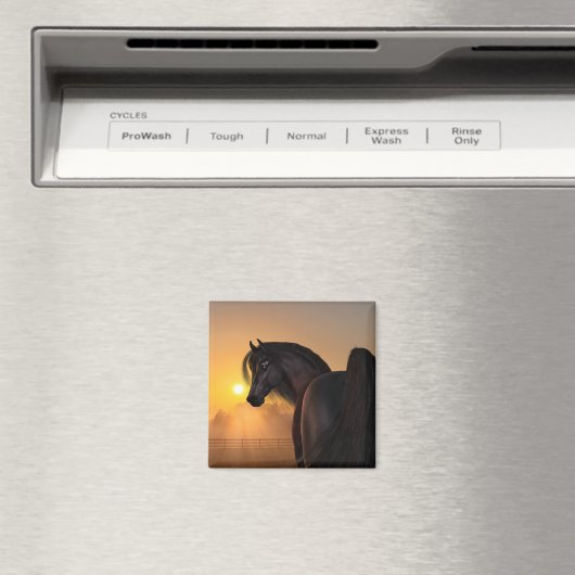 Arabian Horse Sunrise Magnet (In Situ (Geschirrspüler))