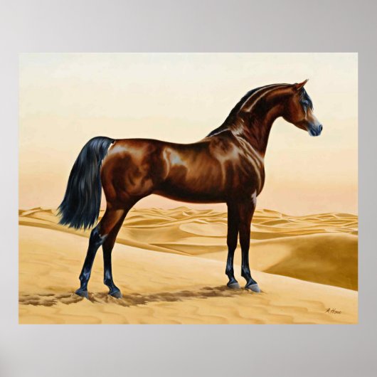 Arabian Horse - William Barraud Poster (Vorne)