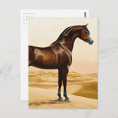 Arabian Horse - William Barraud Postkarte (Vorne/Hinten)