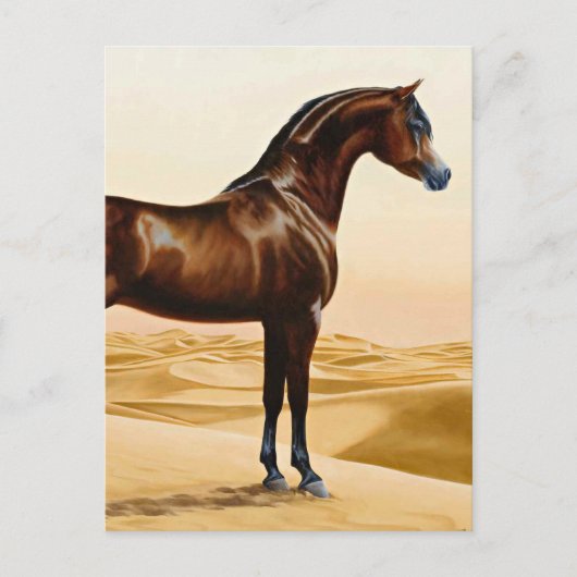 Arabian Horse - William Barraud Postkarte (Vorderseite)