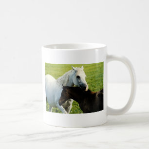 Arabian Mare and Foal Tasse