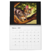 Arabian Mau Cat Kalender (Feb 2027)
