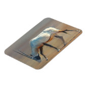 Arabian Oryx 2010 Magnet (Linke Seite)