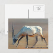 Arabian Oryx 2010 Postkarte (Vorne/Hinten)