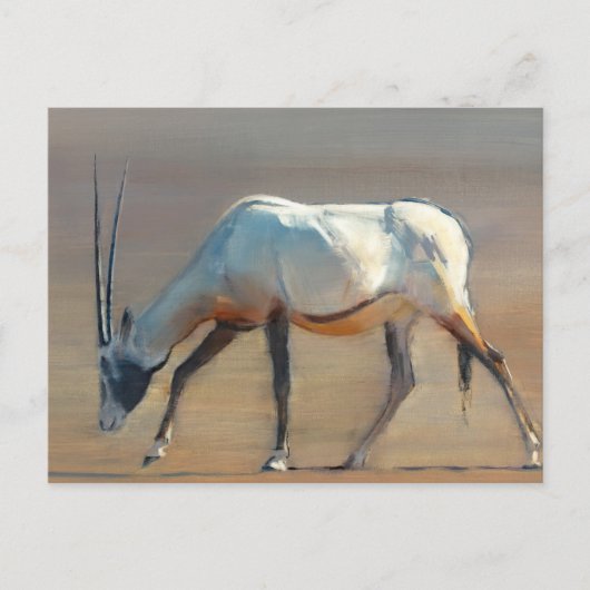 Arabian Oryx 2010 Postkarte (Vorderseite)