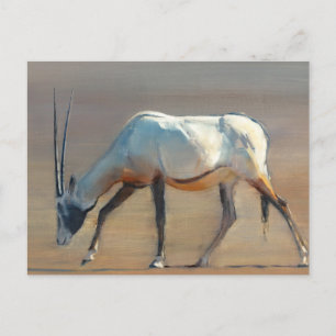Arabian Oryx 2010 Postkarte