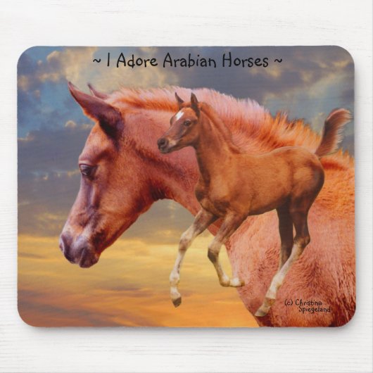 Arabian Pferde Sunrise Mousepad (Vorne)