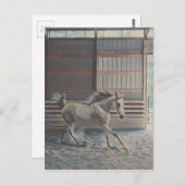 Arabian Postkarte (Vorne/Hinten)