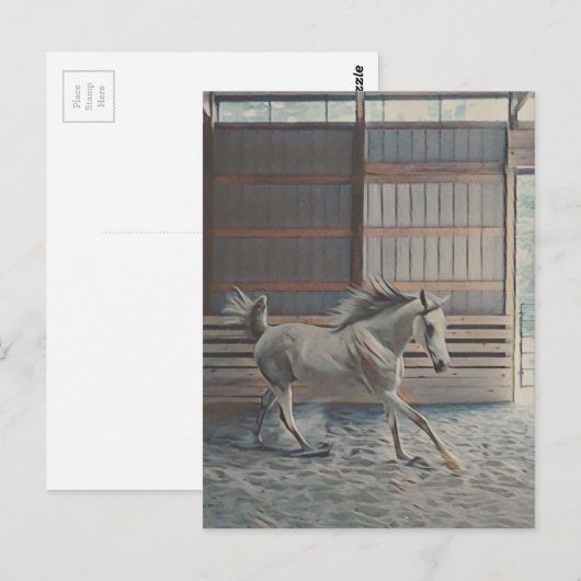 Arabian Postkarte (Vorne/Hinten)