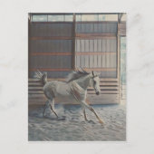 Arabian Postkarte (Vorderseite)