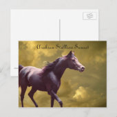 Arabian Stallion Stormy Sunset Postcard Postkarte (Vorne/Hinten)