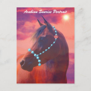 Arabian Sunrise Portrait Postkarte