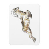 Arabian Tahr 2009 Magnet (Vertikal)