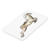 Arabian Tahr 2009 Magnet (Linke Seite)