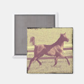 Arabian Trot Magnet (Vorderseite/Rückseite)