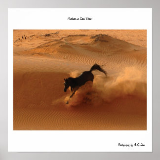 Arabian über Sand Dune Poster