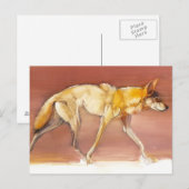 Arabian Wolf 2010 Postkarte (Vorne/Hinten)