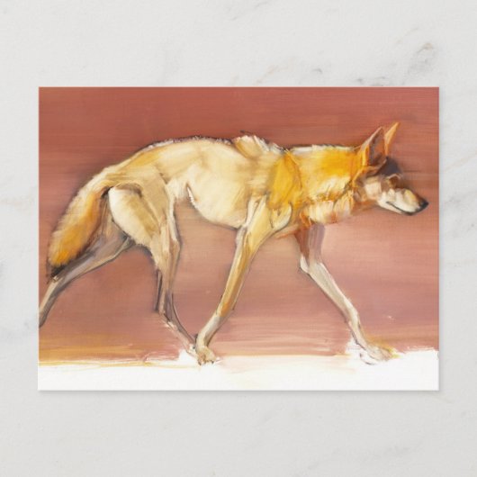 Arabian Wolf 2010 Postkarte (Vorderseite)
