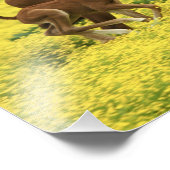 Arabianischer Fohlen und Stute durchlaufen Fotodruck (Ecke)