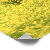 Arabianischer Fohlen und Stute durchlaufen Poster (Ecke)