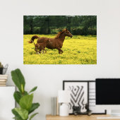 Arabianischer Fohlen und Stute durchlaufen Poster (Heimbüro)