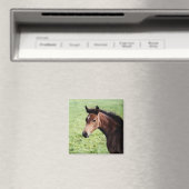 Arabianischer Fotopmagnet Magnet (In Situ (Geschirrspüler))