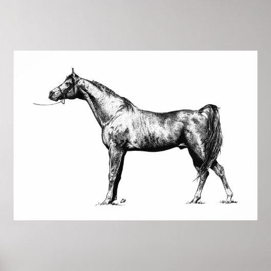 Arabisch in Pen und Ink Poster (Vorne)