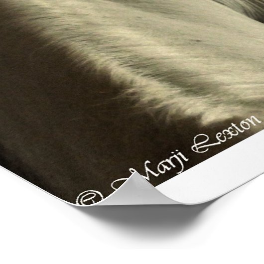 arabisch poster (Ecke)