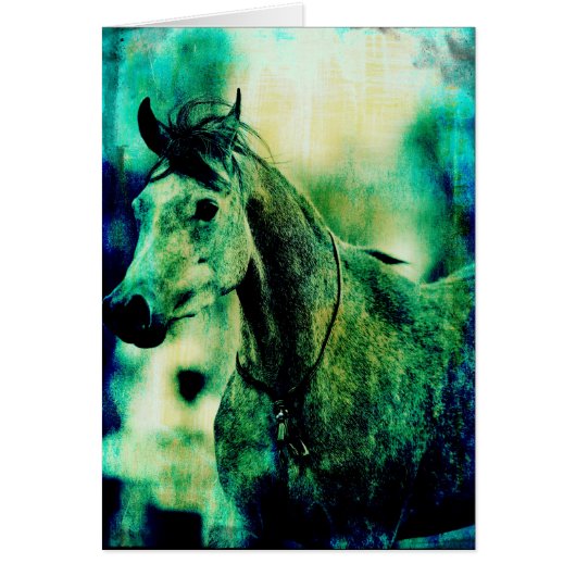 Arabische Blues (Vorne)