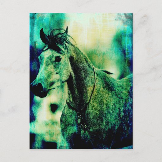 Arabische Blues Postkarte (Vorderseite)