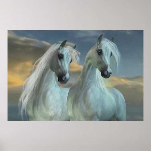 Arabische Brüder Poster (Vorne)