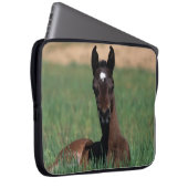Arabische Fohlen-Niederlegung Laptopschutzhülle (Vorne Rechts)